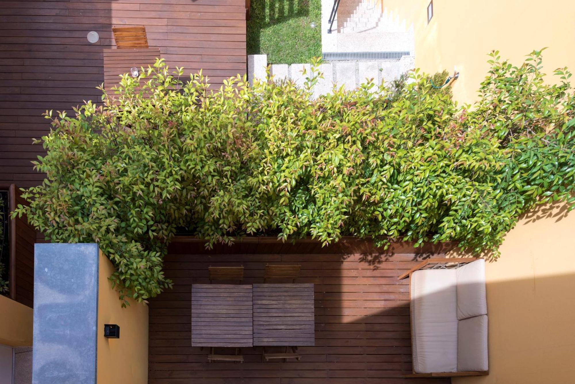 Bloom House By Sweet Porto Apartment Cameră foto